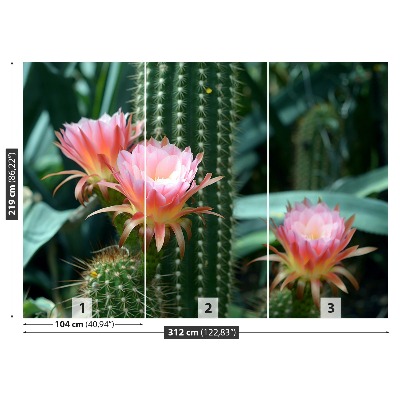 Wallpaper Cactus flower