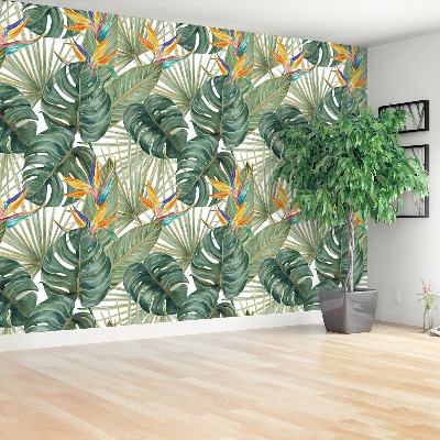 Wallpaper Exotic plants