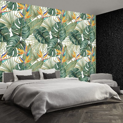 Wallpaper Exotic plants