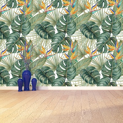 Wallpaper Exotic plants