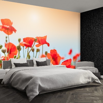 Wallpaper Poppies flowers