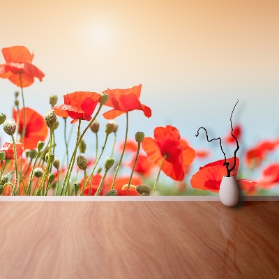 Wallpaper Poppies flowers