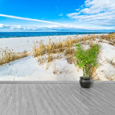 Wallpaper Sea dunes