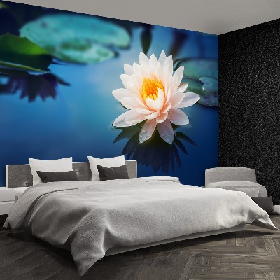 Wallpaper Lotus flower