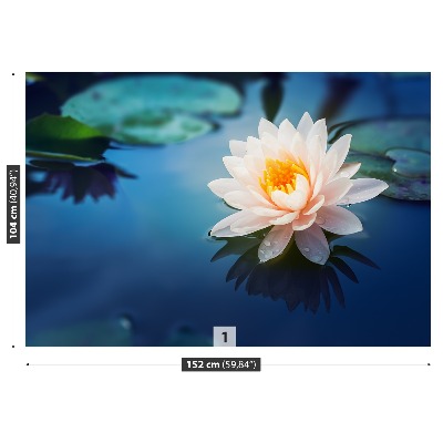 Wallpaper Lotus flower