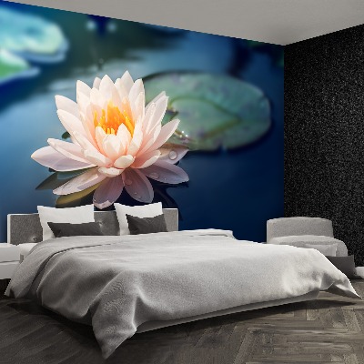 Wallpaper Lotus flower pond