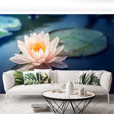 Wallpaper Lotus flower pond