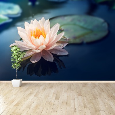 Wallpaper Lotus flower pond