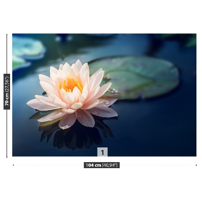 Wallpaper Lotus flower pond