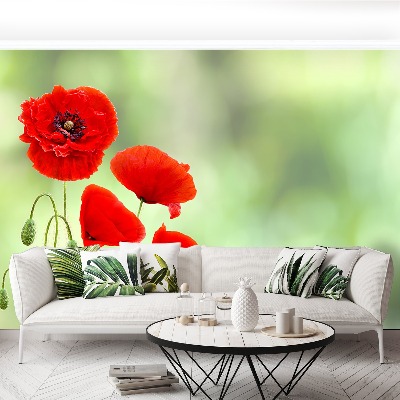 Wallpaper Red poppies