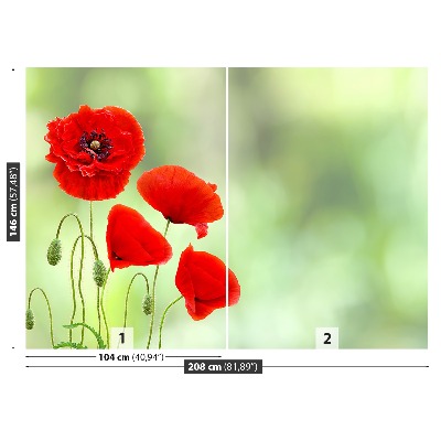 Wallpaper Red poppies