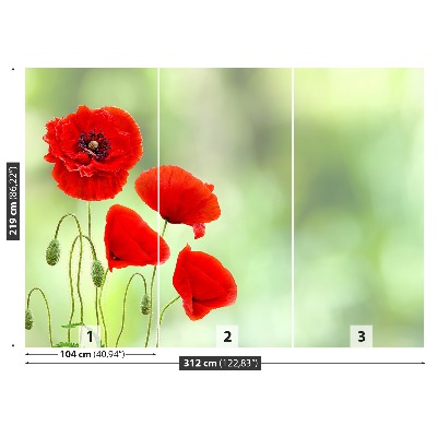 Wallpaper Red poppies