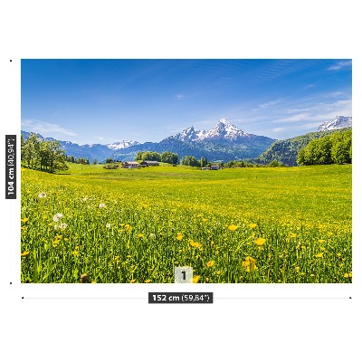 Wallpaper Alpine meadows