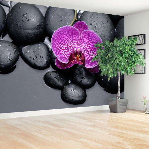 Wallpaper Orchid stones