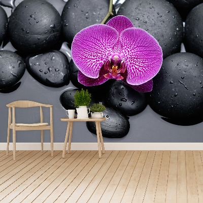 Wallpaper Orchid stones