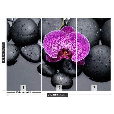 Wallpaper Orchid stones