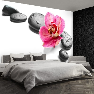 Wallpaper Orchid stones