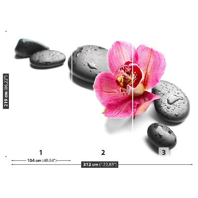 Wallpaper Orchid stones