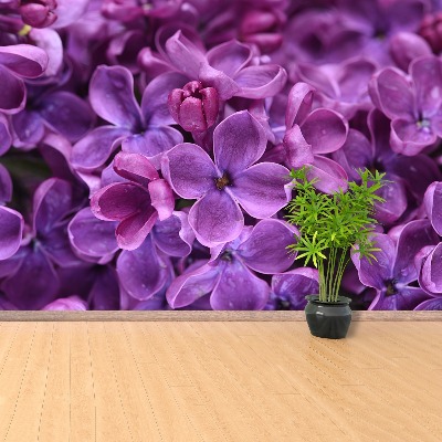 Wallpaper Violet flowers