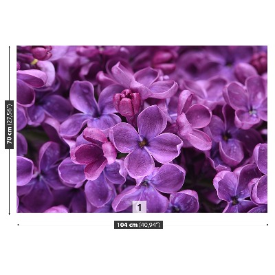 Wallpaper Violet flowers