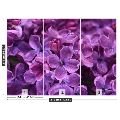 Wallpaper Violet flowers