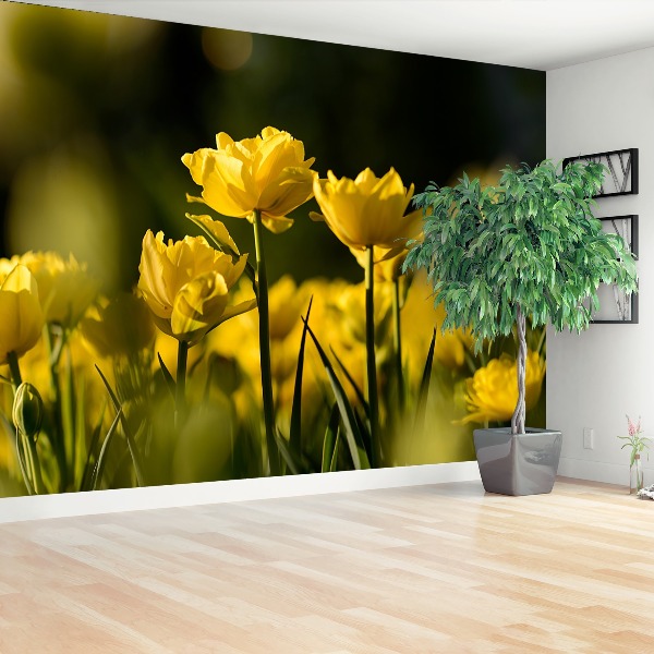 Wallpaper Yellow tulip