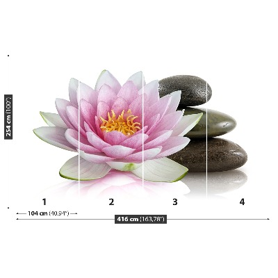 Wallpaper Lotus flower