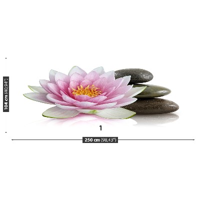 Wallpaper Lotus flower