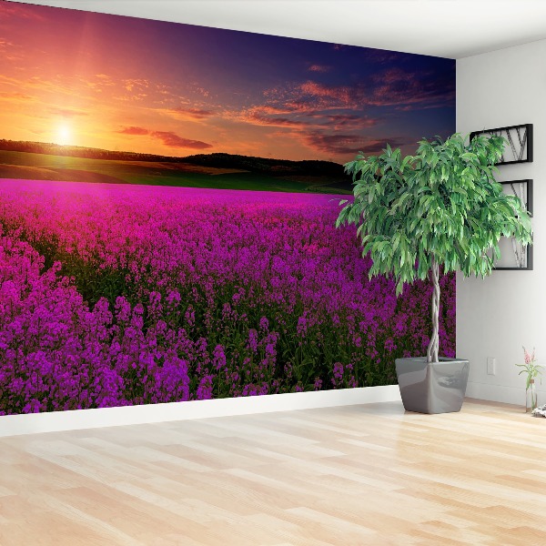 Wallpaper Pink meadow