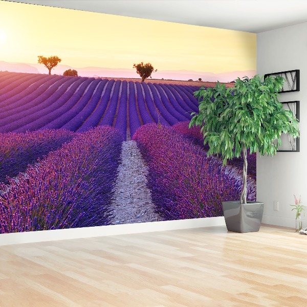 Wallpaper Lavender fields