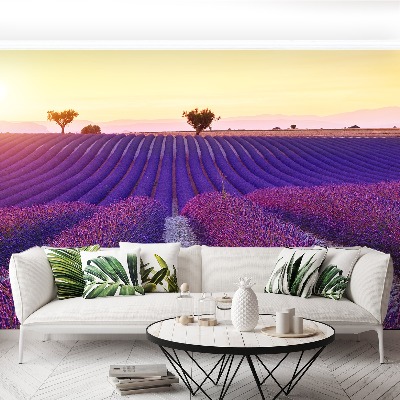 Wallpaper Lavender fields