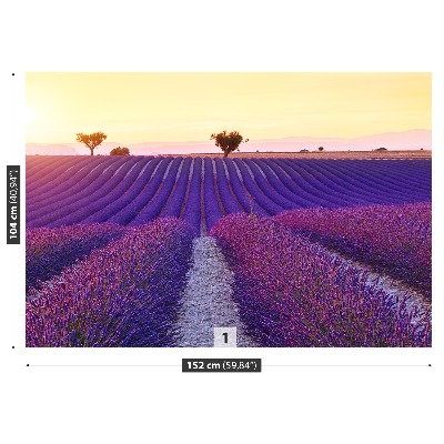 Wallpaper Lavender fields