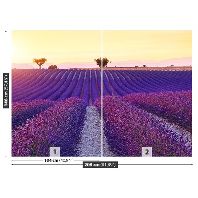 Wallpaper Lavender fields