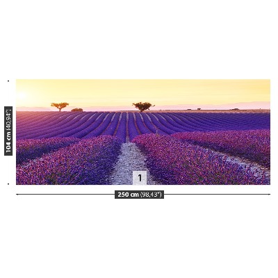 Wallpaper Lavender fields