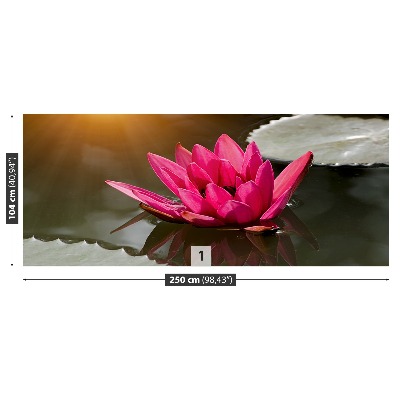 Wallpaper Water lily pink