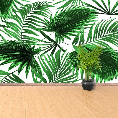 Wallpaper Palm leaves