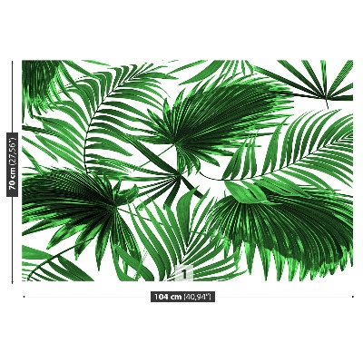 Wallpaper Palm leaves