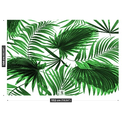 Wallpaper Palm leaves