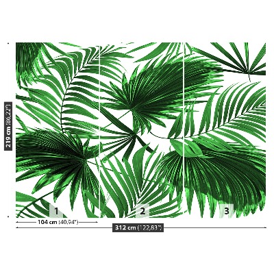 Wallpaper Palm leaves