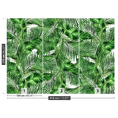 Wallpaper Tropical leaves