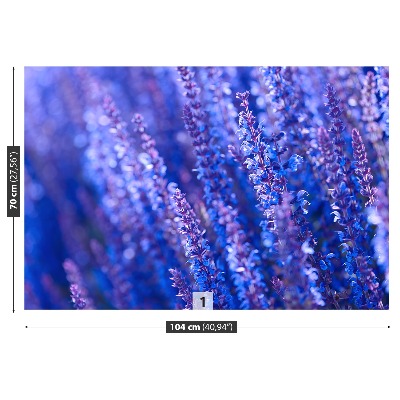 Wallpaper Lavender flowers