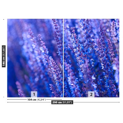 Wallpaper Lavender flowers