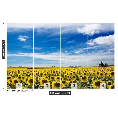 Wallpaper Field of sunflowers