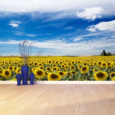 Wallpaper Field of sunflowers