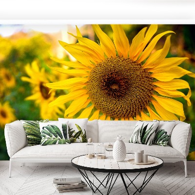 Wallpaper Sunflowers yellow