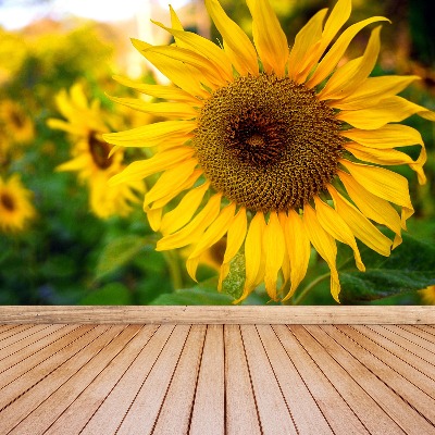 Wallpaper Sunflowers yellow