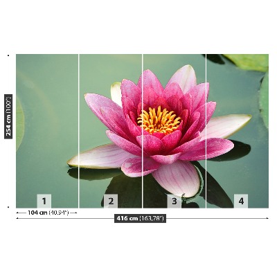 Wallpaper Lotus flower