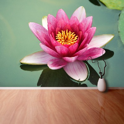 Wallpaper Lotus flower