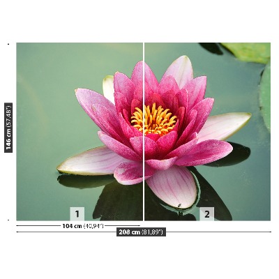 Wallpaper Lotus flower