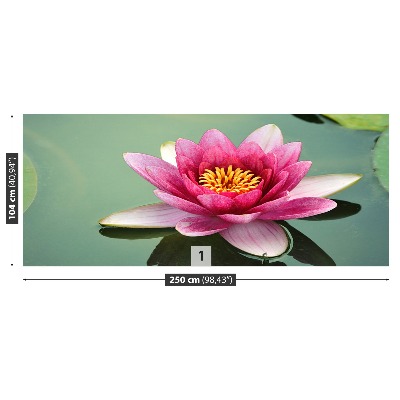 Wallpaper Lotus flower